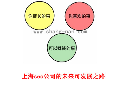 上海seo公司的未來可發(fā)展之路