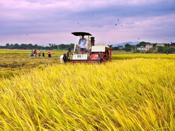 哪種聚丙烯酰胺對農業廢水有益？